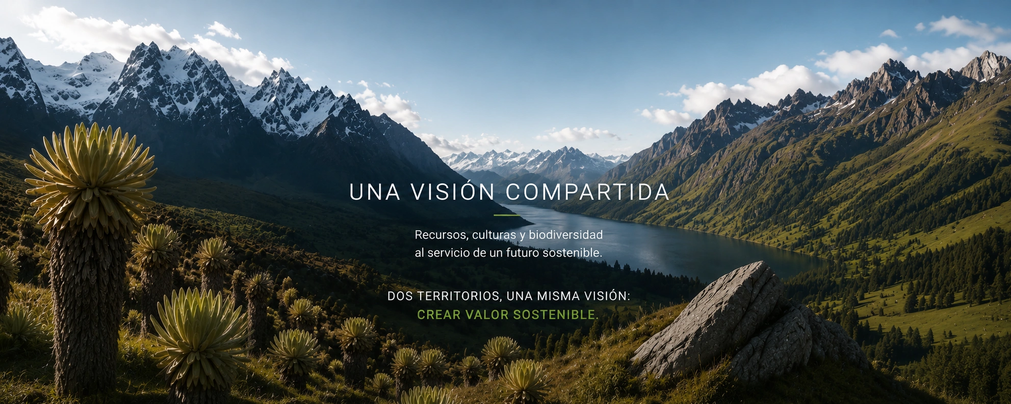 Visión